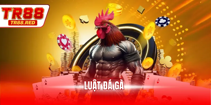 Luật đá gà
